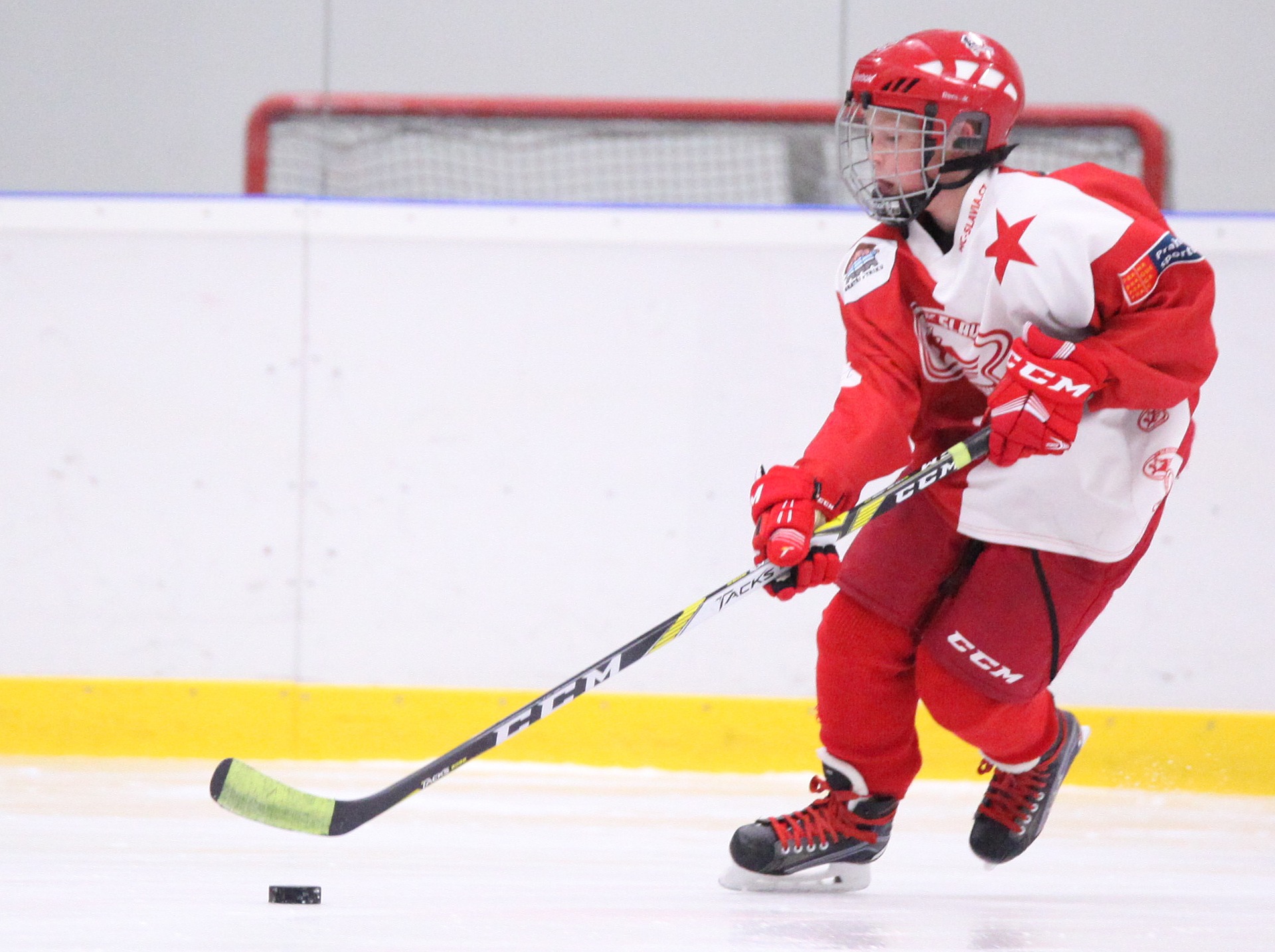 MDHL Hockey Player